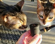 20251208_163609.jpg 20251208_163609.jpg