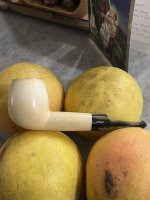 IMG_5520.jpeg IMG_5520.jpeg