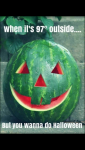 jackolantern.png