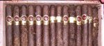 cigar-beetles-how-to-fight_2_70be3179-31ad-4c02-b7ec-80f047edc633_1024x1024.jpg