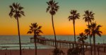 beach-palm-trees-sunset-780x405.jpg