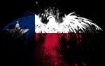 eagles hawk flags usa texas state 1920x1200 wallpaper_www.animalhi.com_39.jpg