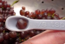 tiny grape.jpg