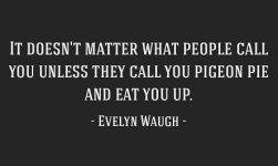 evelyn-waugh-quote-lba0a7g.jpg