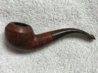 Peterson_Kildare999_Rhodesian.jpg