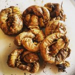 4569EE52-3BD8-42FC-8502-FFF6AF7950A9.jpeg 4569EE52-3BD8-42FC-8502-FFF6AF7950A9.jpeg