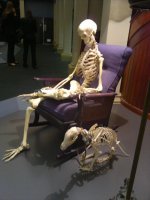 z-skeleton and dog waiting.jpg