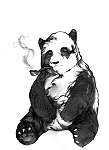 pandapiper