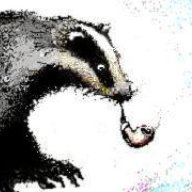 MisterBadger