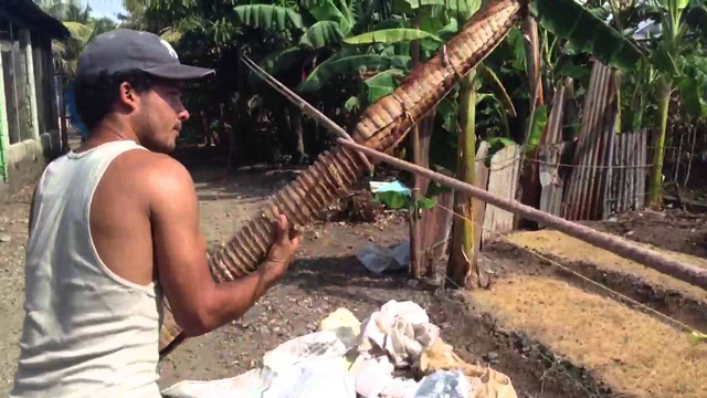 Andullo Tobacco being wrapped.