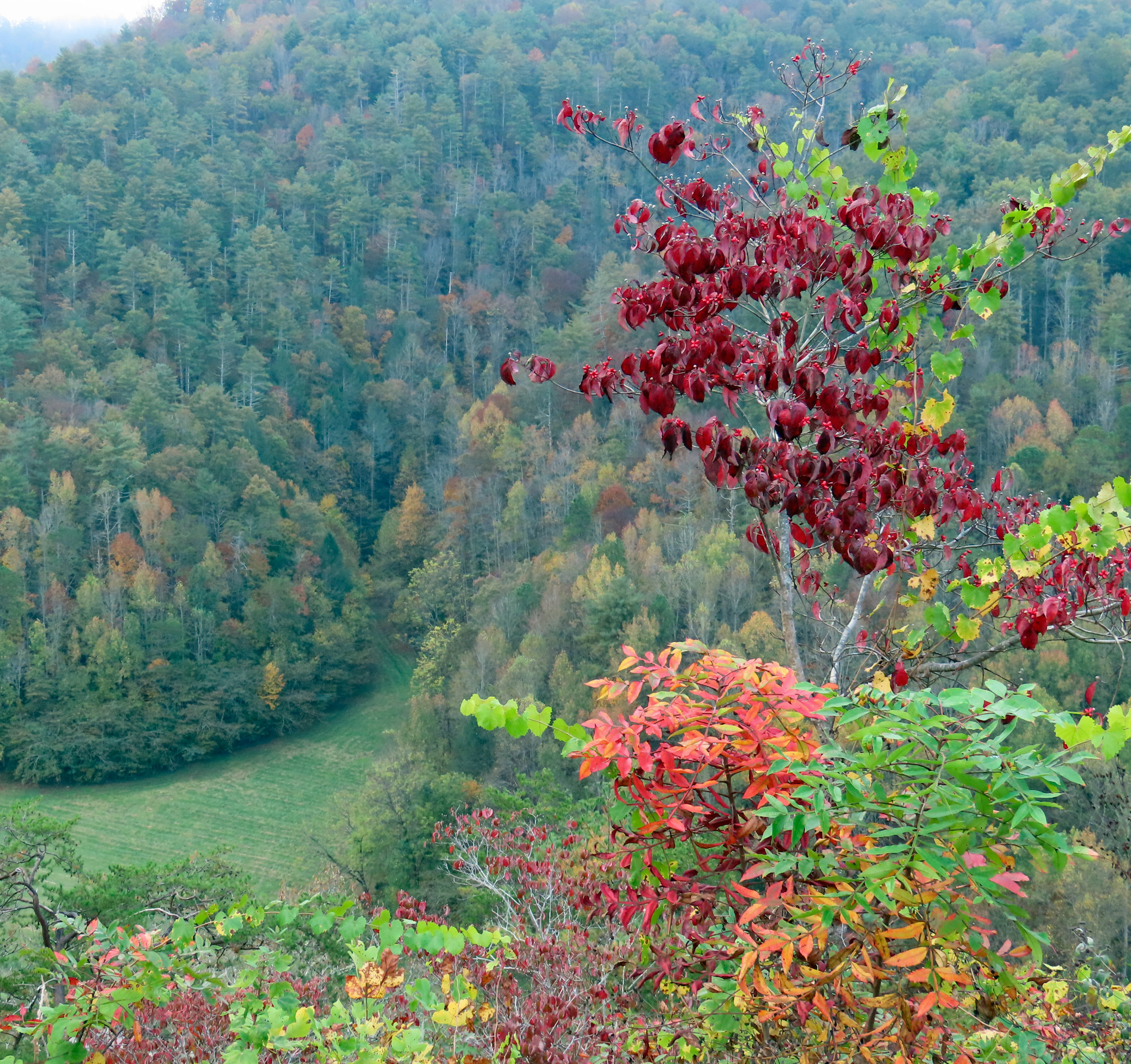 Fall is a special time in the Appalachian Mountains. Hills and valleys blush with a changing season. It’s a wonderful time to walk in the mountains, with pipe and tobacco and experience the healing nature of the natural world.