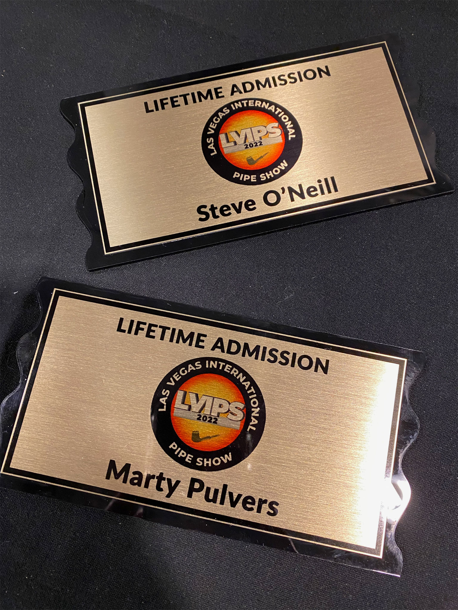 Lifetime Admission Pass for Marty and Steve